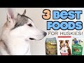 TOP 3 HEALTHIEST Foods For Siberian Huskies!