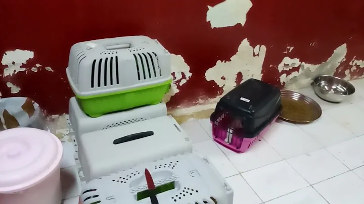Transfering to our new Home for my 41  Foster Cat ...