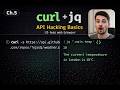 Make API Calls from the Terminal – curl, JSON & jq for Hackers Explained (Ch.5)
