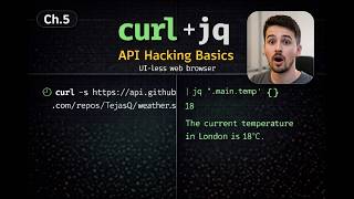 Make API Calls from the Terminal – curl, JSON &amp; jq for Hackers Explained (Ch.5)