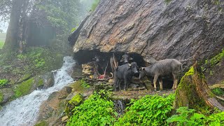 Real Himalayan Nepali Mountain Village Life During Heavy Rain | Rainy Season Documentary Video | 