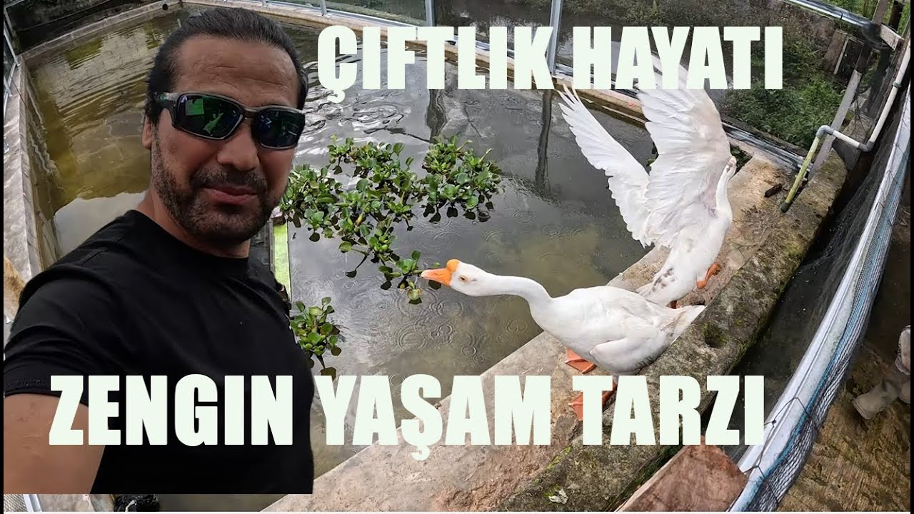 köy yerinde Çiftlik hayatı nasıl oluyor izle ve gör - #146