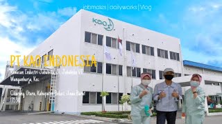 Pengalaman kerja di PT Kao Indonesia🫡