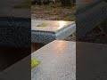 Cheerful birdsong this morning | Bunny playing | Nature Ambience