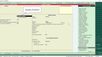 Sundry Creditor Ledger Details in TDL