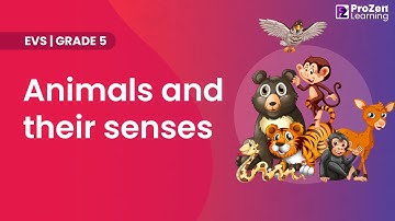 Grade 5 | EVS | Animals and their senses | Super senses | Prozen learning