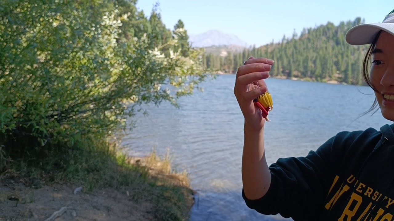 【2025.9 美國行】ep1｜Kings Canyon｜Hume Lake｜Sequoia National Park