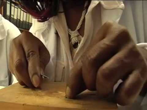 Pre-treatment of seeds and planting: Scarification