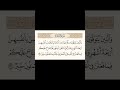 ﴿وَٱلَّذِينَ يُتَوَفَّوۡنَ مِنكُمۡ﴾