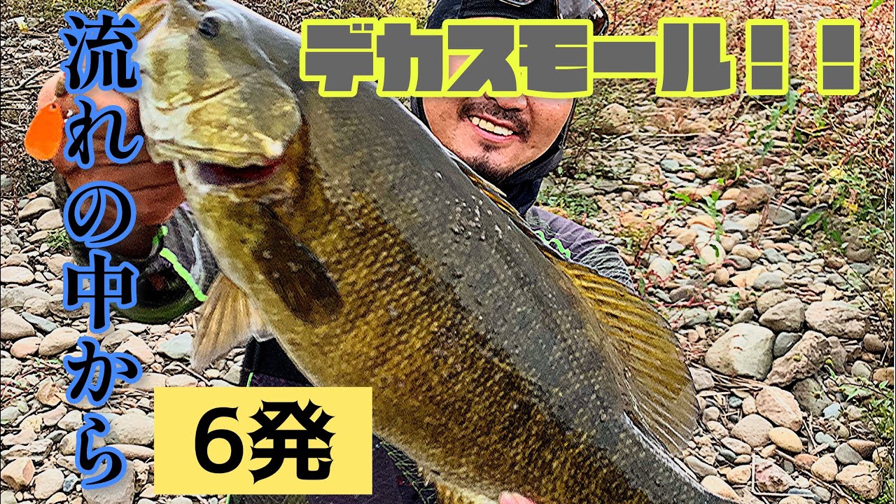流れの中から6発、デカスモール！！ スモールマウスバス - YouTube
