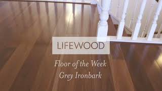 Floor of the Week Grey Ironbark