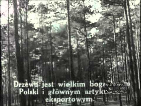 Gdynia - II połowa lat 30-tych