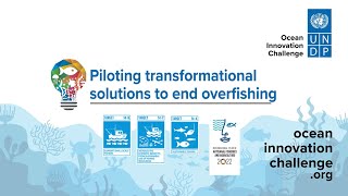 Meet UNDP's second cohort of ocean innovators on Sustainable Fisheries & Aquaculture (Full/short)