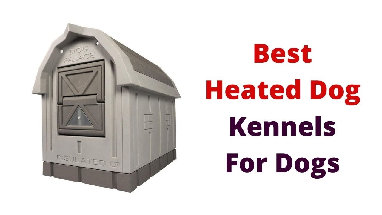 Top 5 Best Heated Dog Kennels For Dogs YouTube