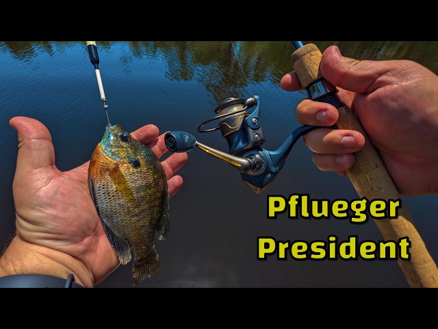20 fishing pole 20