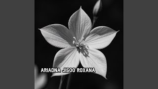 Shadow Star Bloom