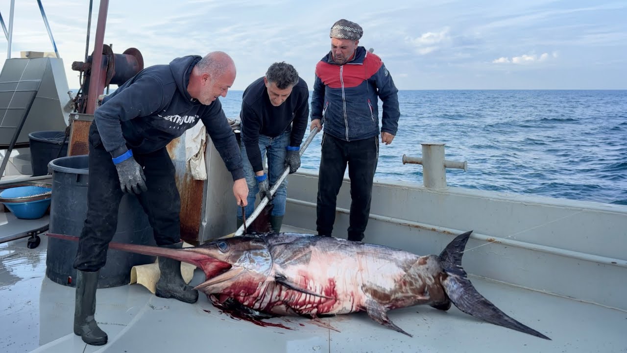 2026'NIN EN BÜYÜK KILICINI TUTTUK! | DEV KILIÇ GÜVERTEYE SIĞMADI!