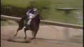 Alydeed Queen's Plate 1992 - Canadian Triple Crown - Great!