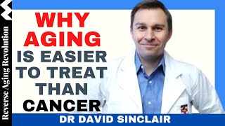 DAVID SINCLAIR “Why Aging Is Easier To Treat Than Cancer?” | Dr David Sinclair Interview Clips