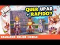 Ragnarok Online Mobile - Dica pra upar mais rápido (até o lv80)!