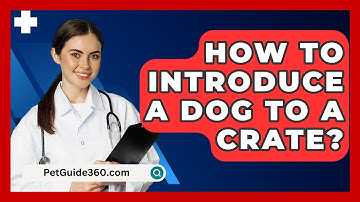 How To Introduce A Dog To A Crate? - PetGuide360.com