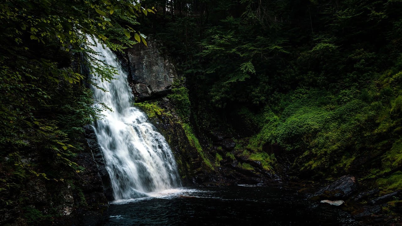 Hiking Through Bushkill Falls