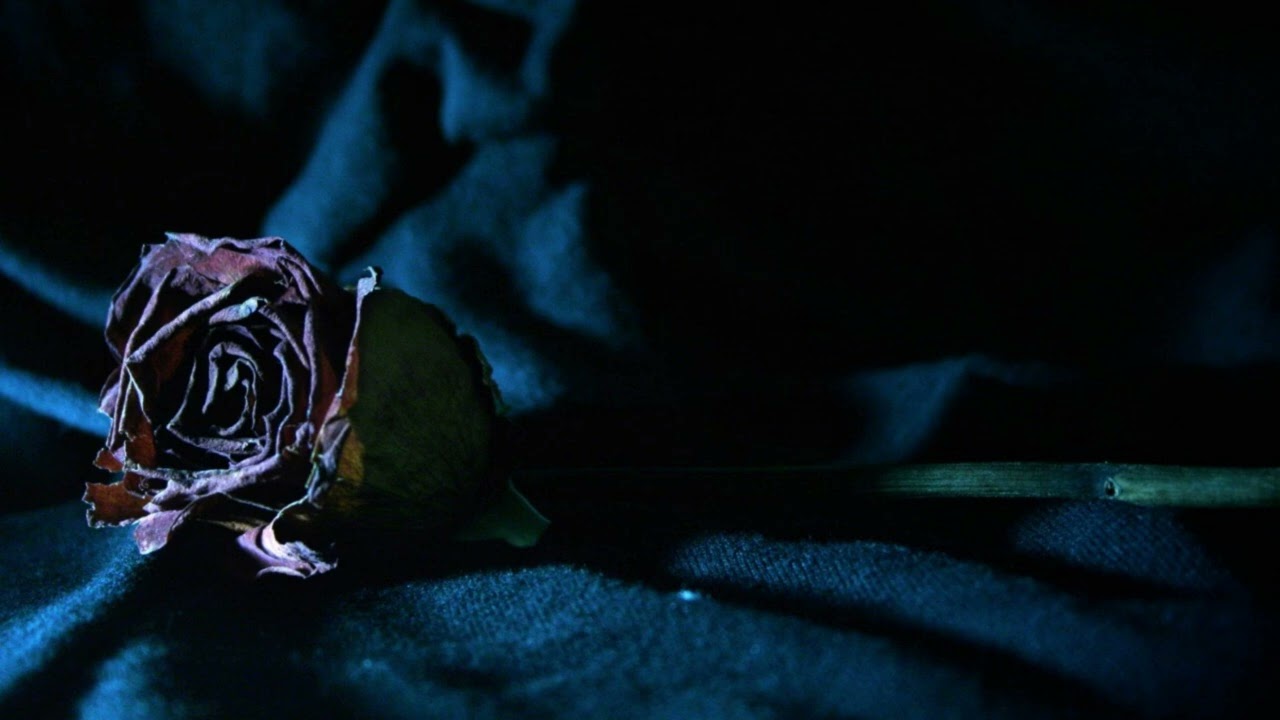 Deep Dark Progressive Techno: The Vast Unknown of our Souls, mixed by Sentinel