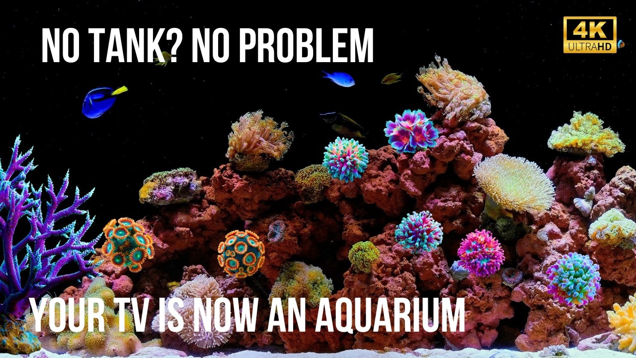 🐬 Аквариум в 4K с Звуками Воды | Умиротворяющая Жизнь Океана для Сна и Медитации