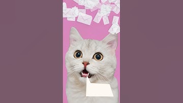 Transforming Customer Service: The Power of Automation