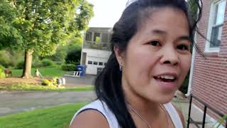 Tomato For Summer All Things Arps