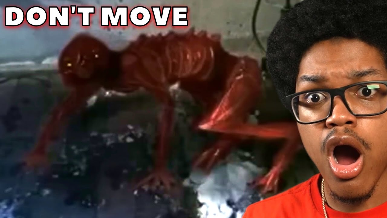 Вита Карнис действительно ужасает