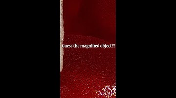 close up objects quiz#shorts  macro video