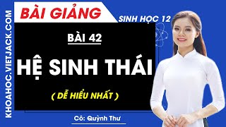 Hệ sinh thái - Bài 42 - Sinh học 12 - Cô Quỳnh Thư (DỄ HIỂU NHẤT)