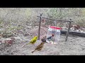Como fazer Armadilha simples para pegar passarinho (How to Make a Simple Bird Trap)