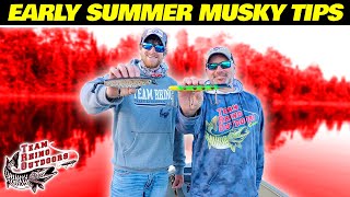 Early Summer Musky Tips