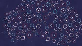 Closing the Gap 2018