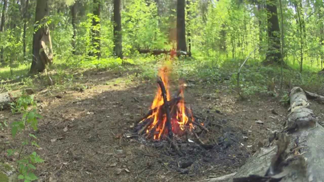 Universe of harmony..