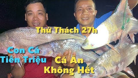Thử Thách 27h Tự Tìm Thức Ăn Trên Sông Mang Tiền Triệu Về Nhà | Cù Lao Dung Vlogs #795