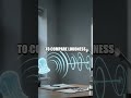 Stethoscope Echoes At Home: A Safe Sound Science Quick Take