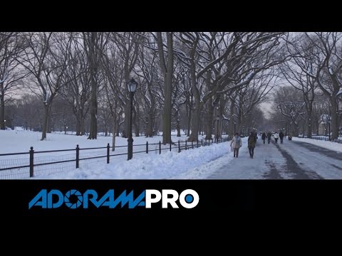CANON C100 Mark II - Test Footage + Overview