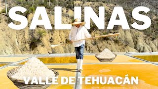 La Cuna de la Sal: La Historia Detrás de la Sal Artesanal del Valle de Tehuacán, Puebla. screenshot 5