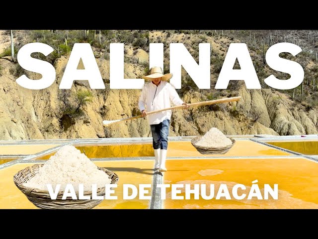 The Cradle of Salt: The Story Behind the Artisanal Salt of the Tehuacán Valley, Puebla. class=