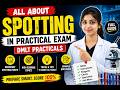 Master Spotting Before Your Practical Exam