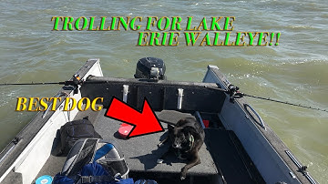 SOLO Trolling for Lake Erie Walleye | First Trolling Fish!