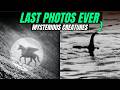 5 Mysterious Creatures Caught In Reality | Muz Studio