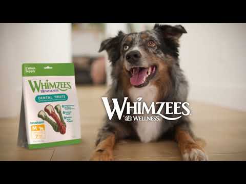 Video: Februar er Pet Dental Health Month!