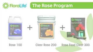 Floralife® Quick Dip 100 Time-lapse 