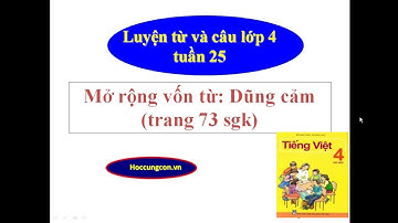Mở rộng vốn từ : Dũng cảm (trang 73 sgk) Tiếng Việt lớp 4 tập 2