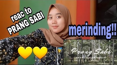 ORANG HUTAN SQUAD - PRANG SABI (Official video) reaction | TERBAIK!!