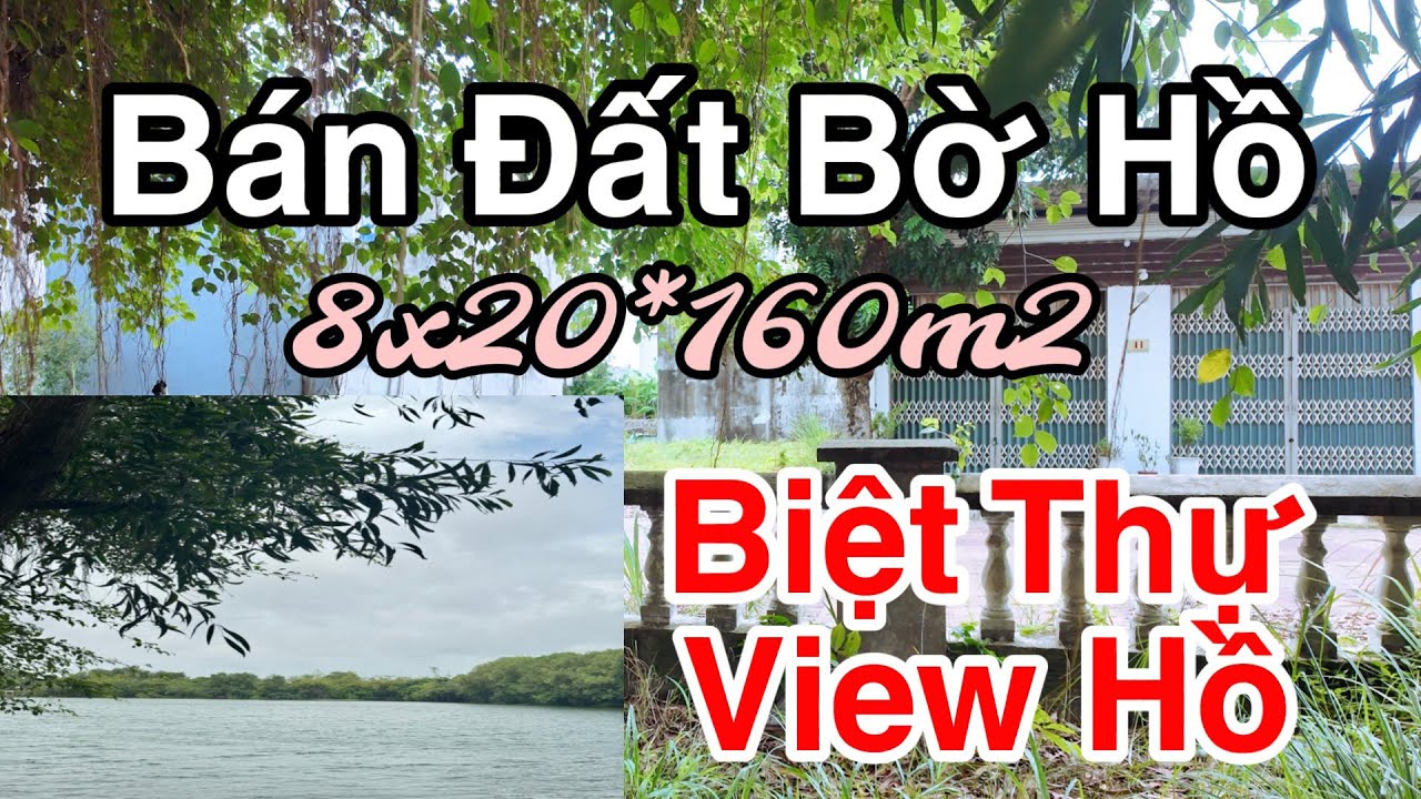 🌟 BÁN LÔ ĐẤT MẶT TIỀN PHỐ ĐI BỘ - CÁT TƯỜNG PHÚ SINH 🌟